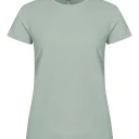 029031-615_Basic-TWomen_SageGreen_front