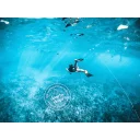 201125-D-Sustainability-01_web1