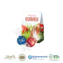 91442_Lindt_Lindor_Pralines_2er_Praesentverpackung_Selection_Mini_O_web