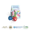 91442_Lindt_Lindor_Pralines_2er_Praesentverpackung_Selection_Mini_2_O_web