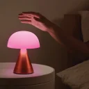 Mina-L-Audio-LH76O1-Orange-05-web-new