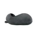 mo2479-15-picture1_web