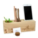 orgrownizer_aloe-vera_pflanze_web