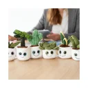 schmoozies--evergreenies--monstera-multicolour-m160846_artfarbe_7882_detail_12007_XL_web