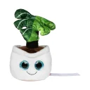 schmoozies--evergreenies--monstera-multicolour-m160846_artfarbe_7882_master_XL_web