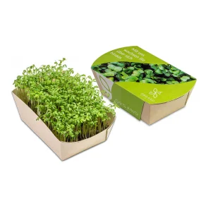 Jardin d\'herbes aromatiques