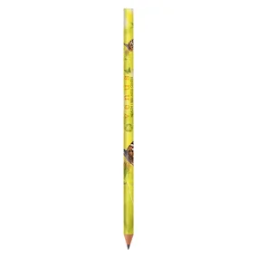 BIC® Bleistift Evolution® Classic Cut